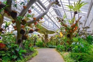 Hidden Gem Bogor! Kencan Di Griya Anggrek Kebun Raya