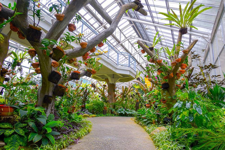 Hidden Gem Bogor! Kencan Di Griya Anggrek Kebun Raya