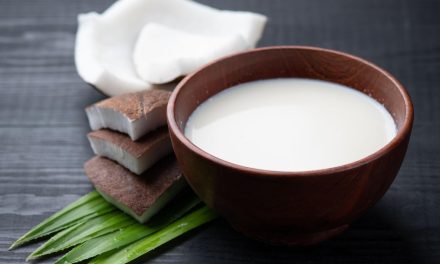 Bukan Musuh Kesehatan, Khasiat Santan Yang Sering Terabaikan