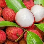 Kecil Tapi Hebat! Khasiat Buah Leci Untuk Tubuh Lebih Sehat